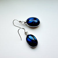 Blue Glass Tiger Eye Earrings