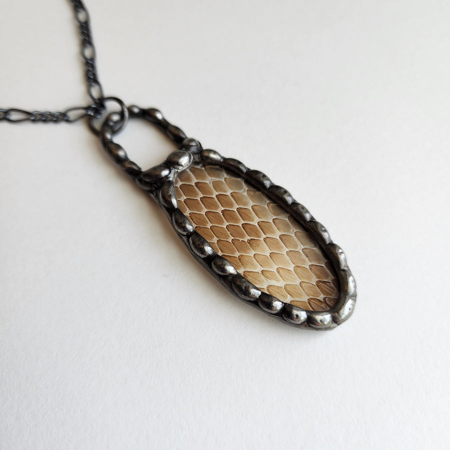 Yes, Real Shed Snakeskin - SOLD