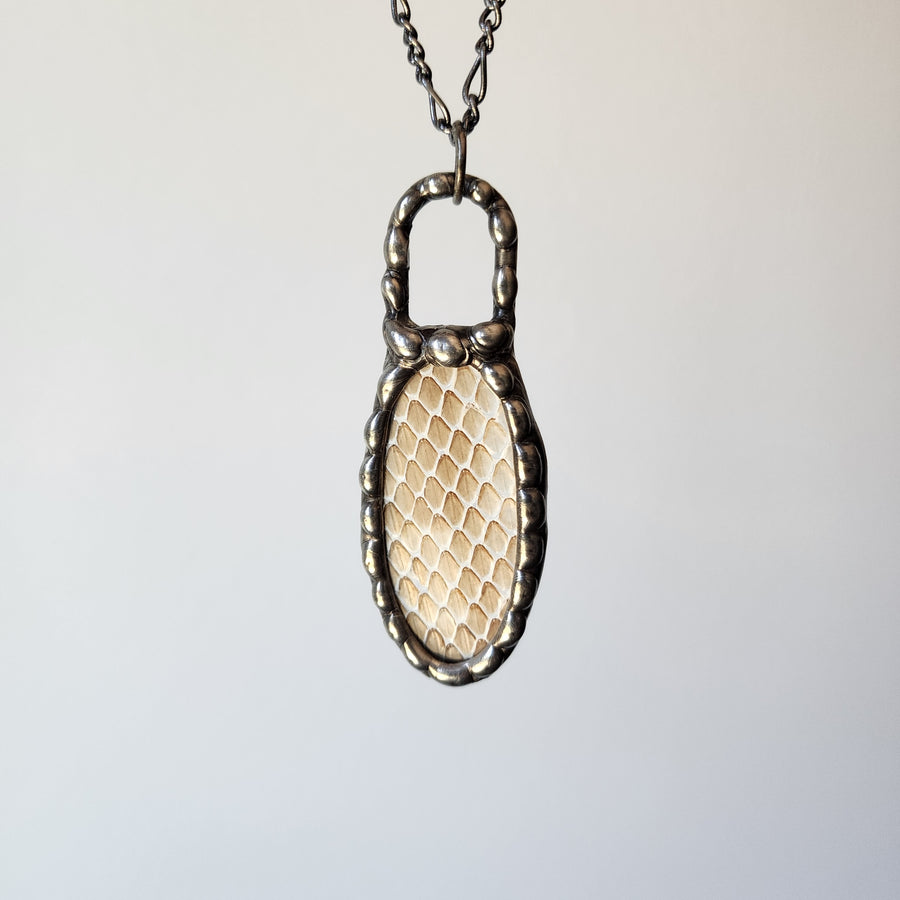 Yes, Real Shed Snakeskin - SOLD