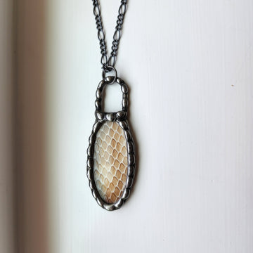 Yes, Real Shed Snakeskin - SOLD