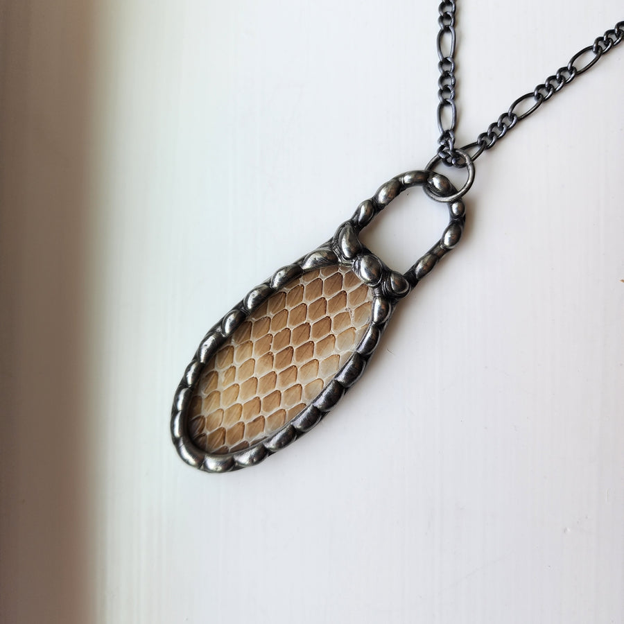 Yes, Real Shed Snakeskin - SOLD