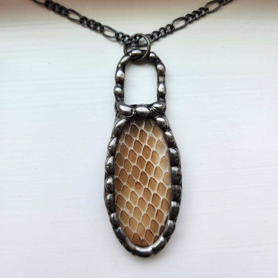 Yes, Real Shed Snakeskin - SOLD