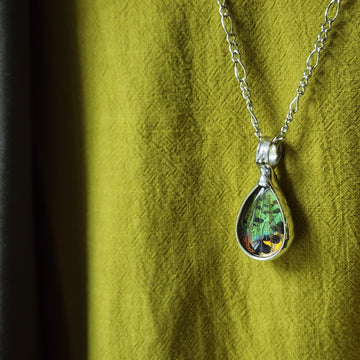 Real Butterfly Wing Pendant