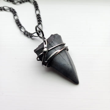 Fossil Shark Tooth Pendant, Gift for Dad, Husband, Boyfriend, One of a Kind - SOLD