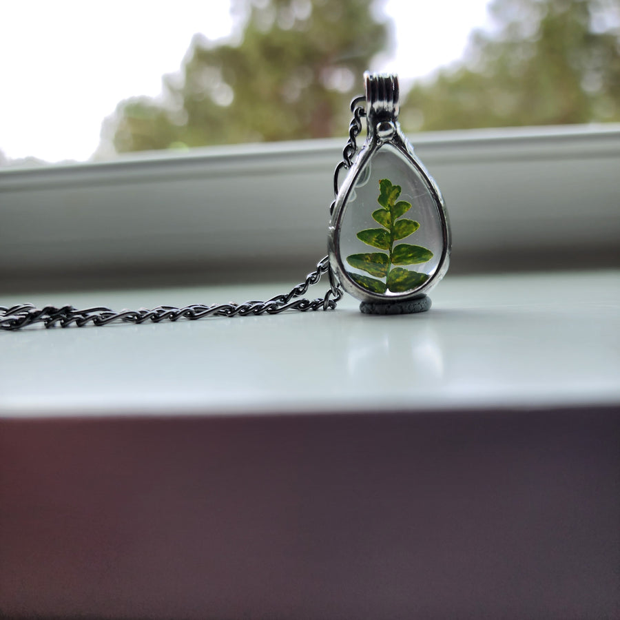Terrarium Jewelry, Real Fern in Glass Pendant