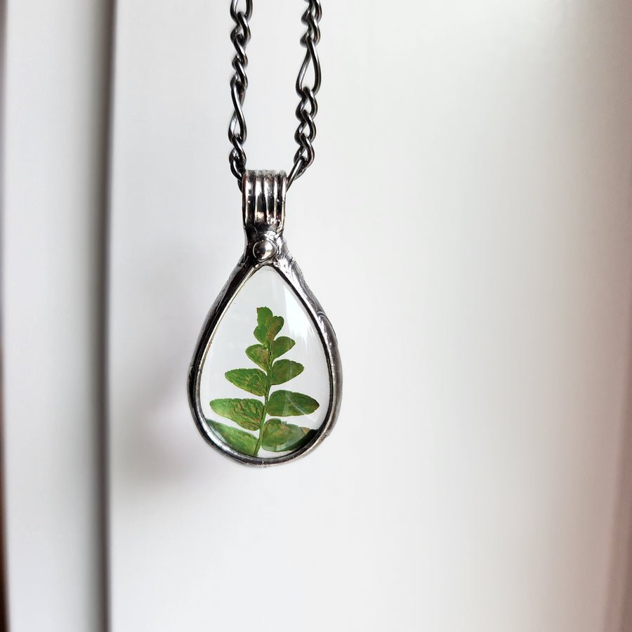 Terrarium Jewelry, Real Fern in Glass Pendant