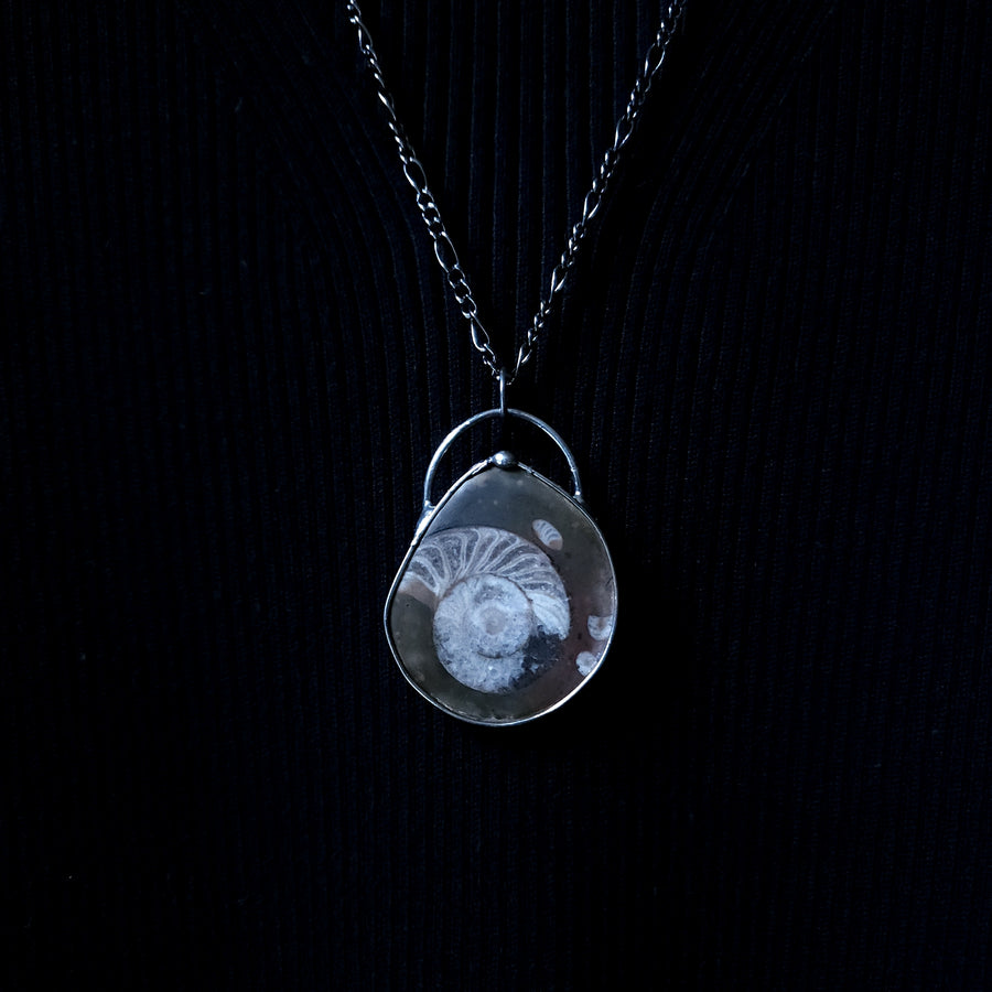 Ammonite Fossil Pendant for Men