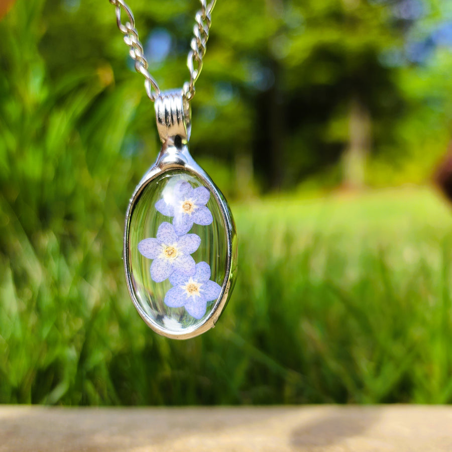 Real Pressed Forget Me Nots in Glass Pendant