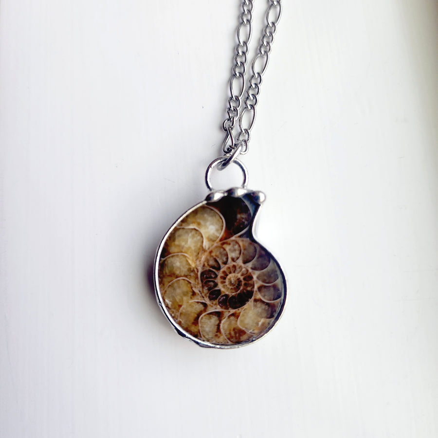 SOLD - Prehistoric Ammonite Pendant Necklace, For Guy or Girl