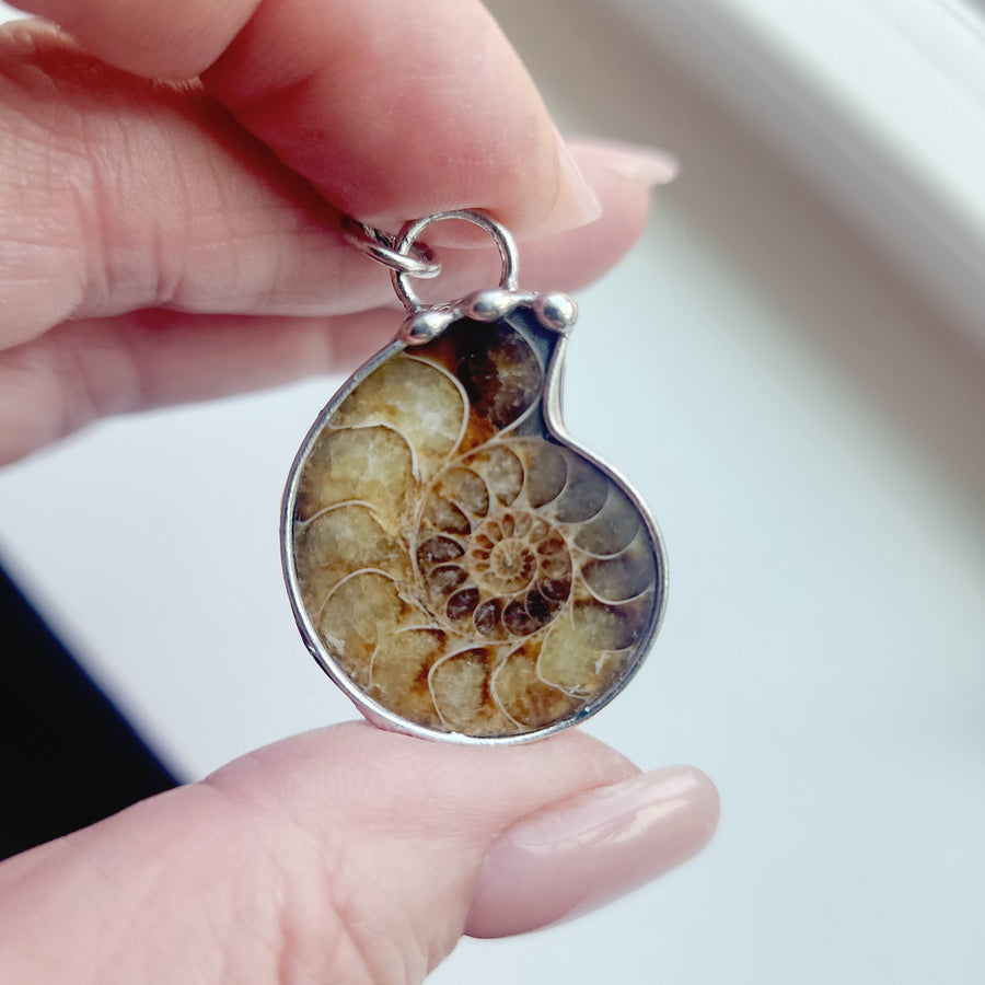 SOLD - Prehistoric Ammonite Pendant Necklace, For Guy or Girl