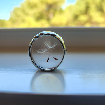 Dandelion Seed Coin, Make a Wish Token