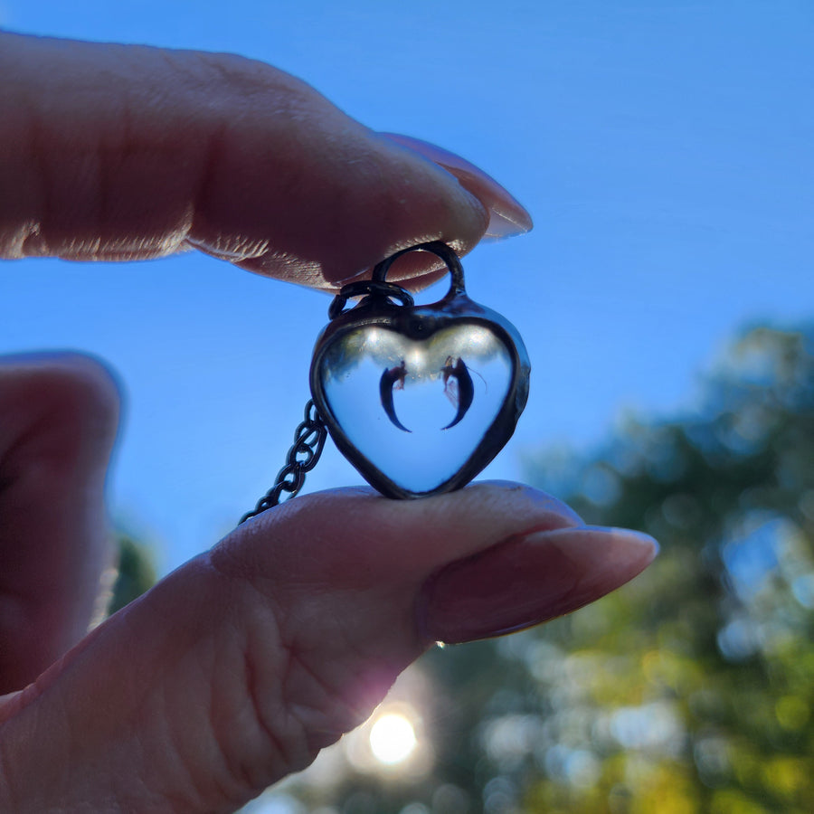 SOLD - Creepy but Cool, Real Tarantula Fangs in Little Heart Pendant Necklace