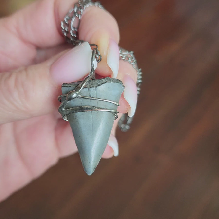 Fossil Shark Tooth Pendant, Gift for Dad, Husband, Boyfriend, One of a Kind - SOLD