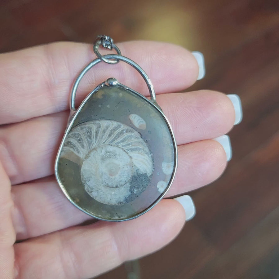 Ammonite Fossil Pendant for Men
