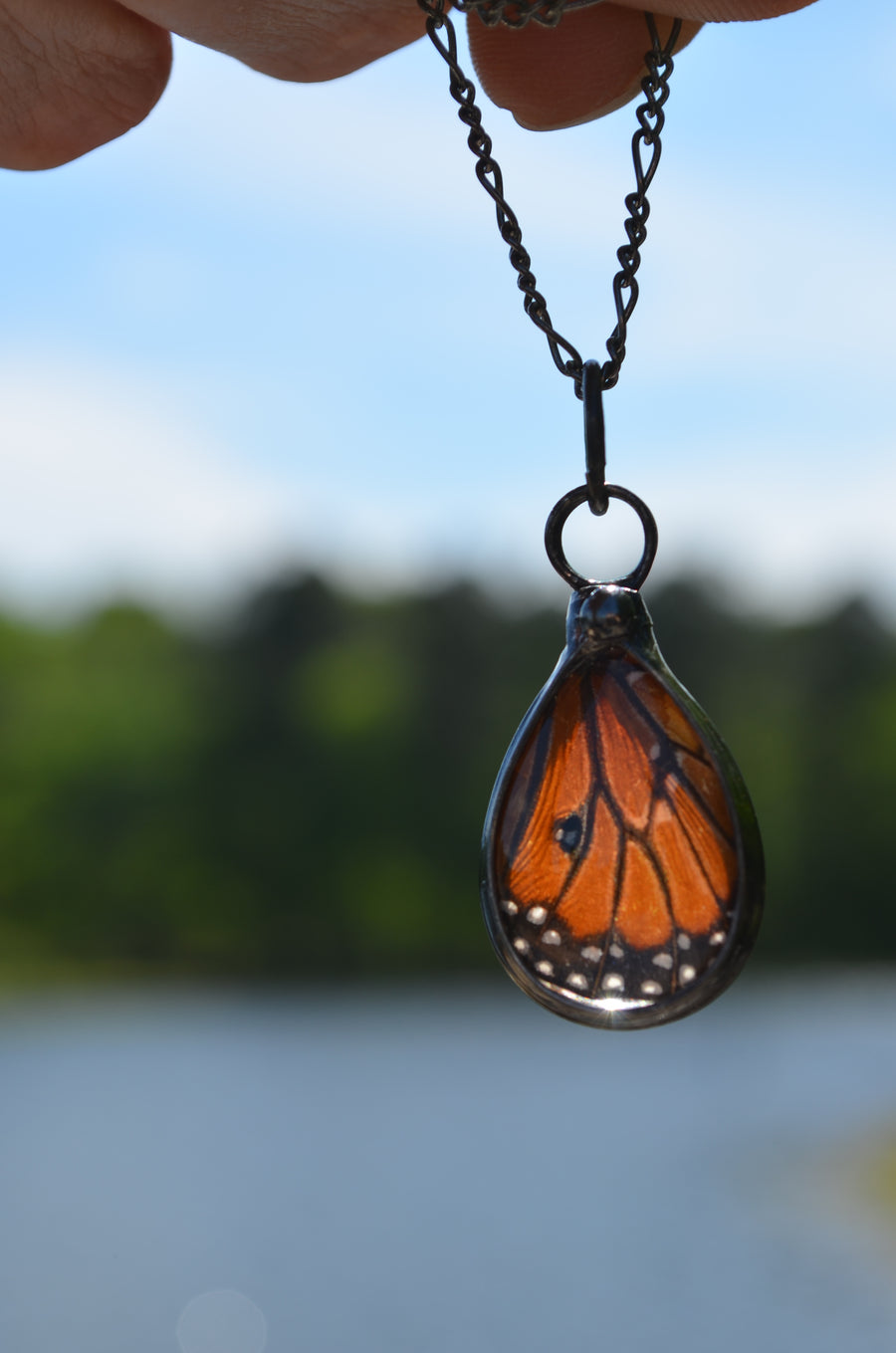Handmade_real_butterfly_wing_Necklace