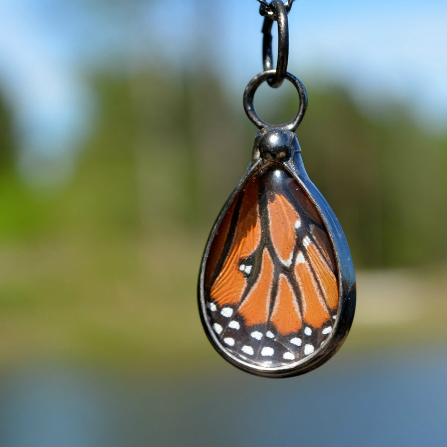 handmade_real_butterfly_wing_jewelry