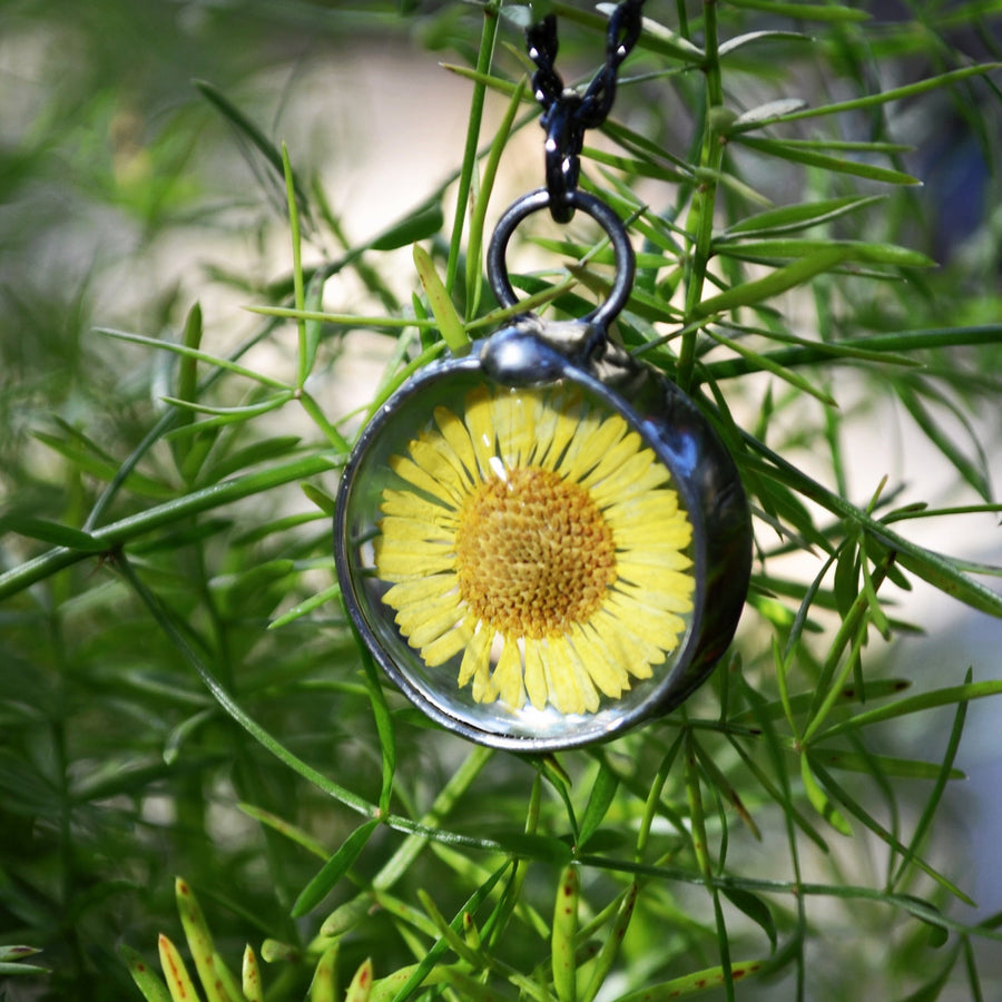 Yellow Aster Pressed Flower Necklace Handmade by Louisiana Artisans at Bayou Glass Arts. 