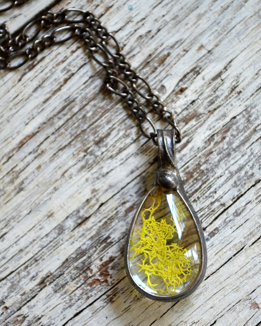 Real Moss Necklace, Terrarium Jewelry, Gift Ideas for Women, Necklaces for Women, Pressed Moss Terrarium, Nature Jewelry, Terrarium 2773 - Bayou Glass Arts