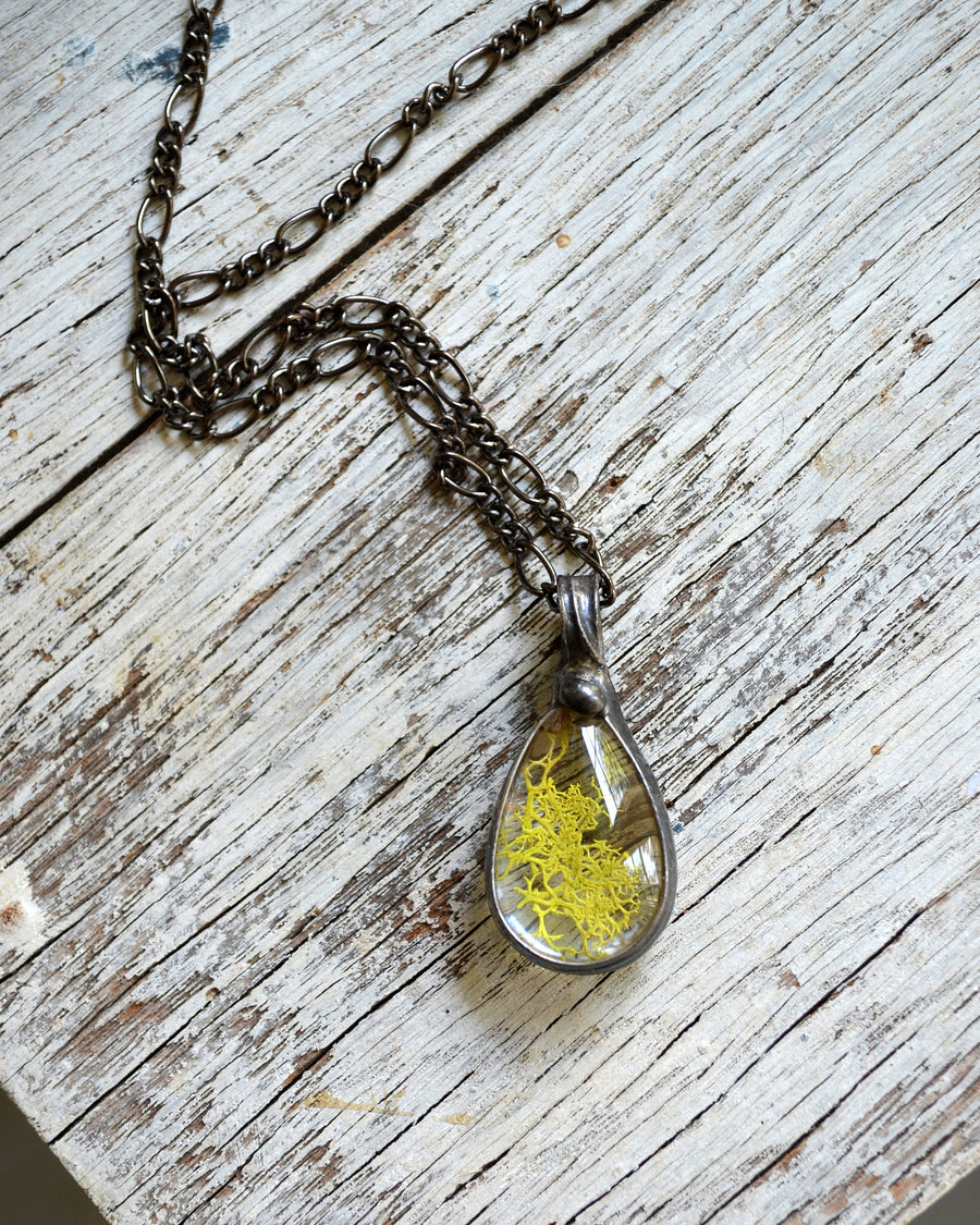 Real Moss Necklace, Terrarium Jewelry, Gift Ideas for Women, Necklaces for Women, Pressed Moss Terrarium, Nature Jewelry, Terrarium 2773 - Bayou Glass Arts