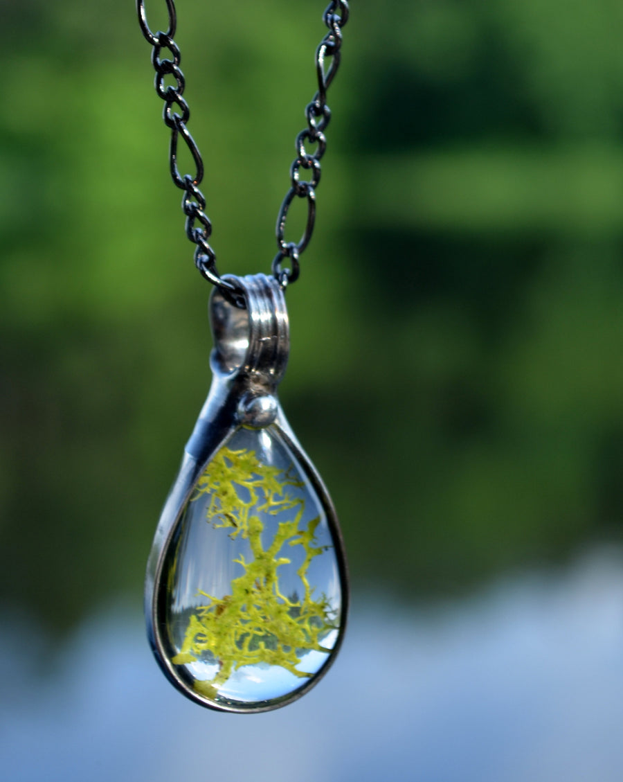 Real Moss Necklace, Terrarium Jewelry, Gift Ideas for Women, Necklaces for Women, Pressed Moss Terrarium, Nature Jewelry, Terrarium 2773 - Bayou Glass Arts